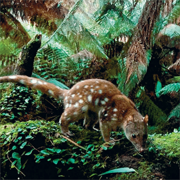 The Bush Heritage Australia