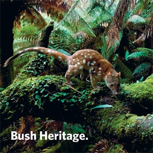Bush Heritage Australia campaign case study