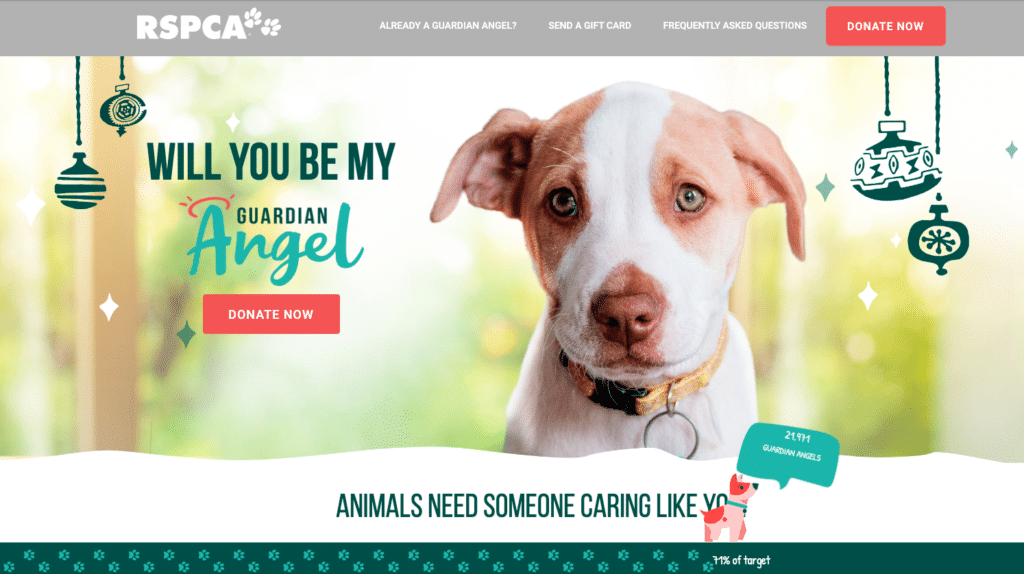 RSPCA NSW's Tax Appeal and their Guardian Angel Christmas Appeal