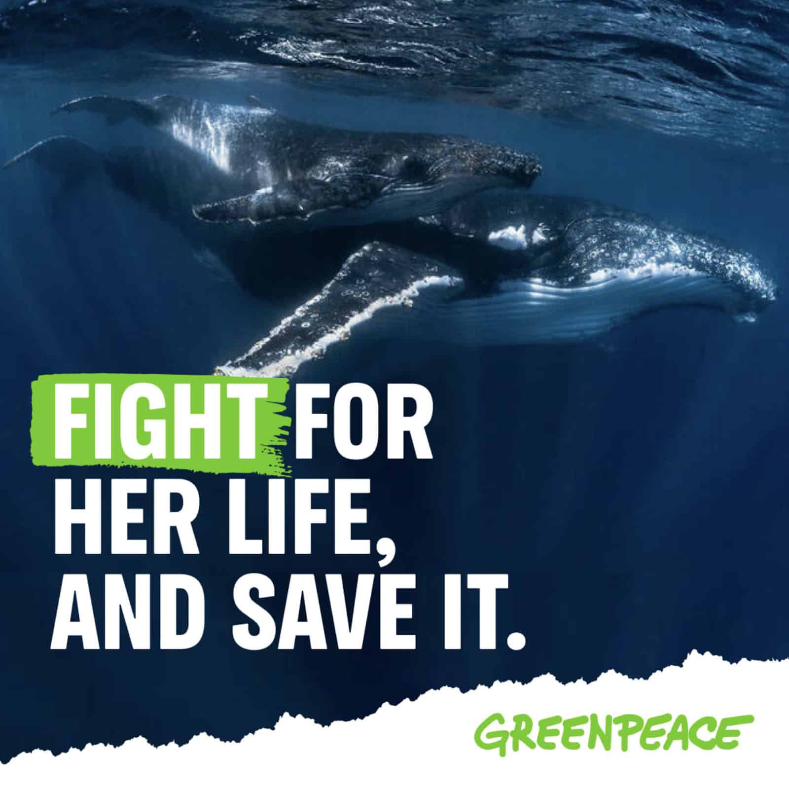 Greenpeace Australia - Warriors for Good campaign